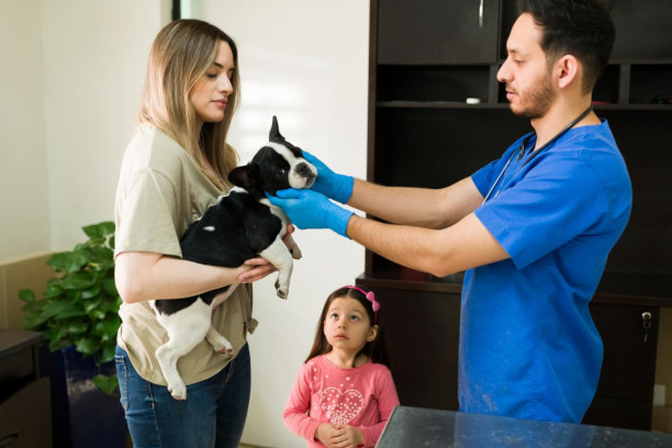 Veterinario examinando a una mascota frente a su dueña, con ayuda de imágenes médicas digitales