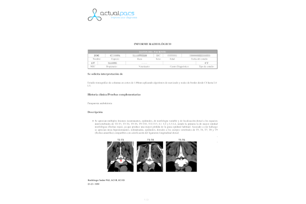 Informe radiológico generado en ActualPACS (informe PDF de estudio veterinario)